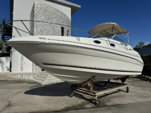 SeaRay 240 SunDancer 長龍マリーナ