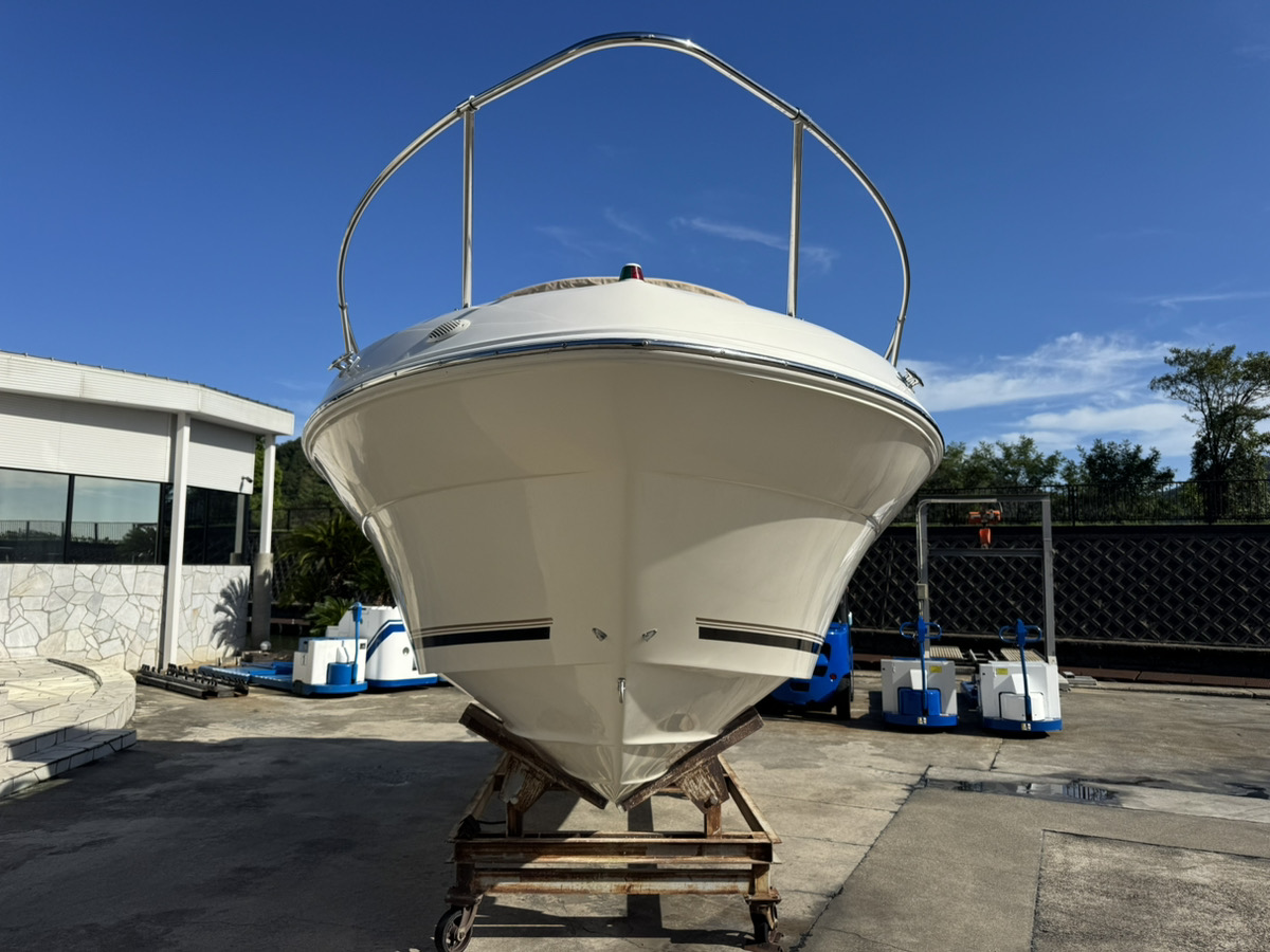 SeaRay 240 SunDancer