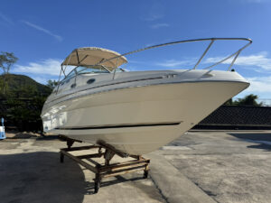 SeaRay 240 SunDancer 長龍マリーナ