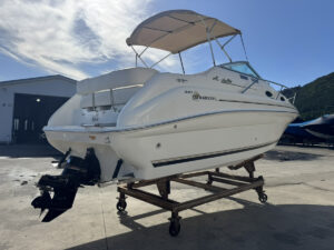 SeaRay 240 SunDancer 長龍マリーナ