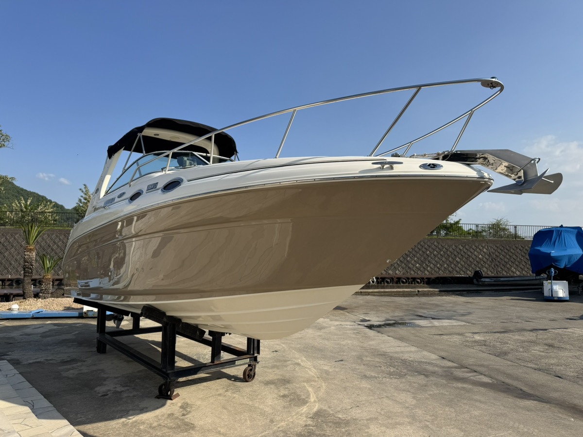 SeaRay275