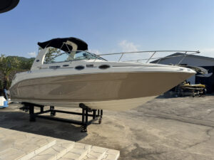 長龍マリーナ　中古ボート　シーレイ　クルーザー　SeaRay