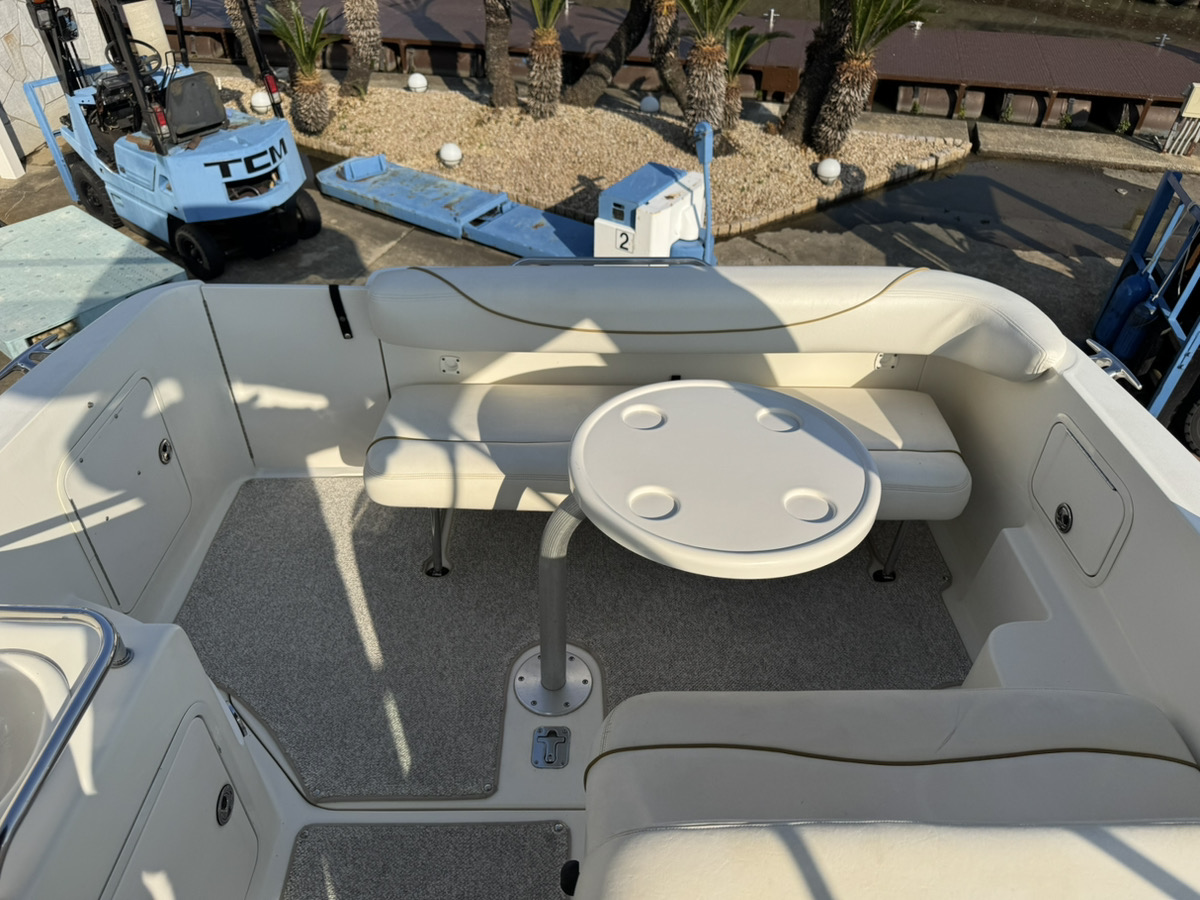 SeaRay275