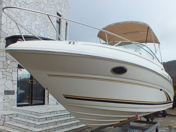 SeaRay 245WE