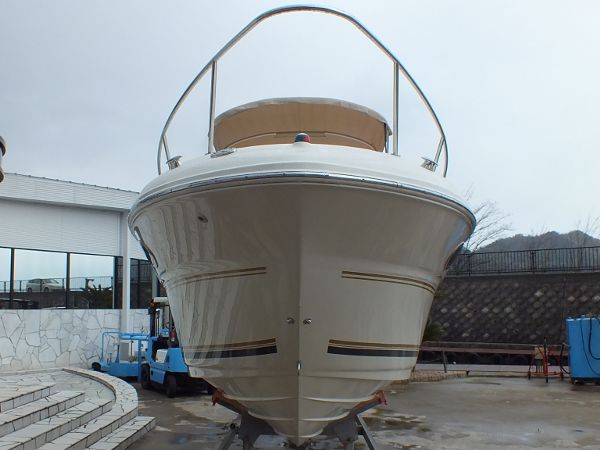 SeaRay 245WE