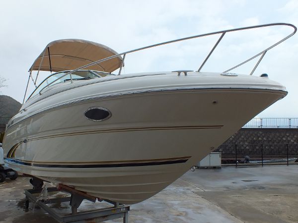 SeaRay 245WE