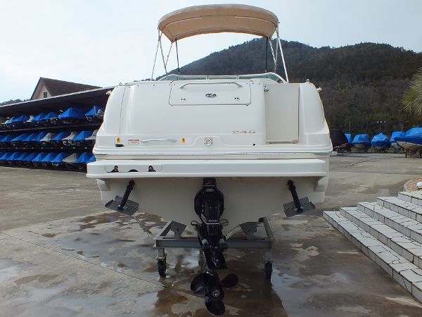 SeaRay 245WE