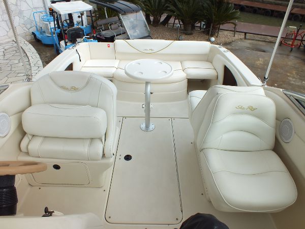 SeaRay 245WE