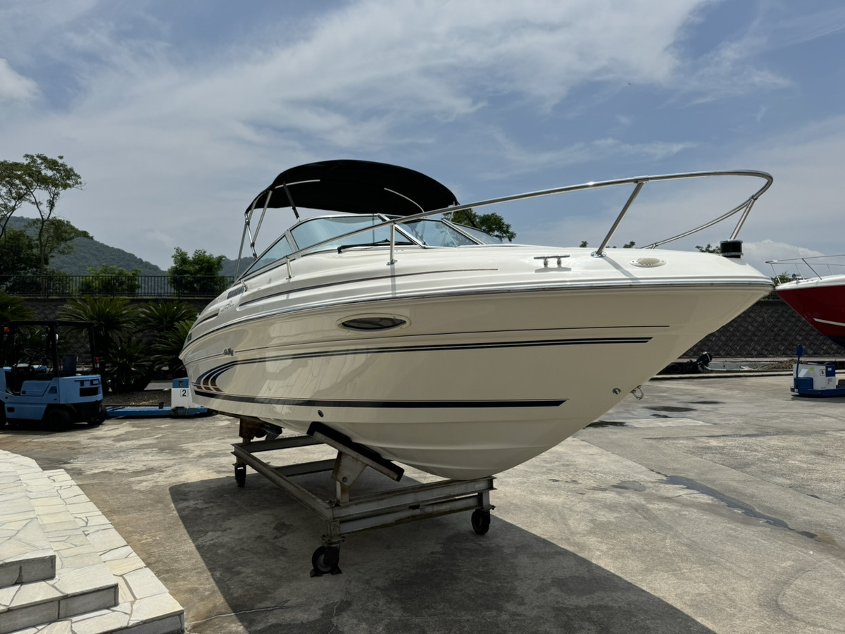 SeaRay215