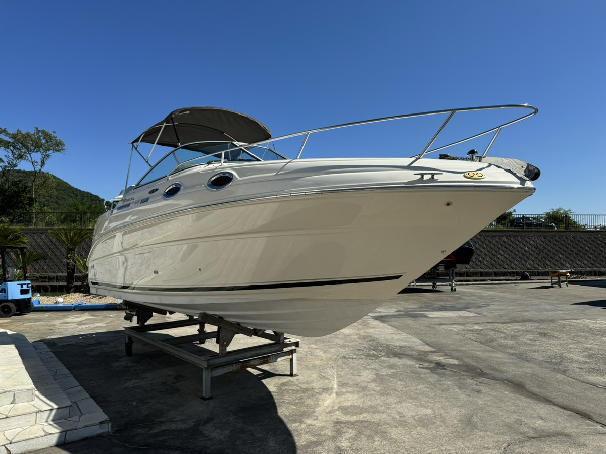 SeaRay240DA