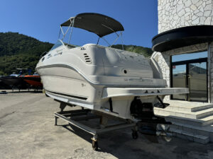 SeaRay240DA  長龍マリーナ