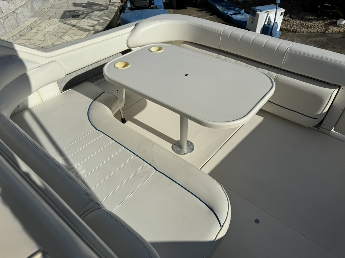 SeaRay 300DA