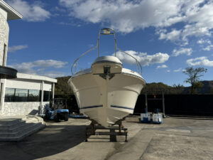 SeaRay 300DA 長龍マリーナ