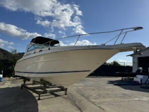 SeaRay 300DA 長龍マリーナ