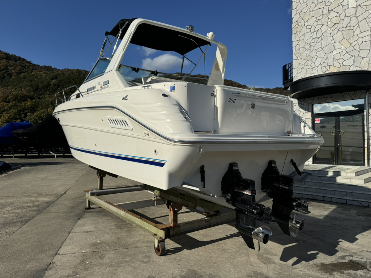 SeaRay 300DA