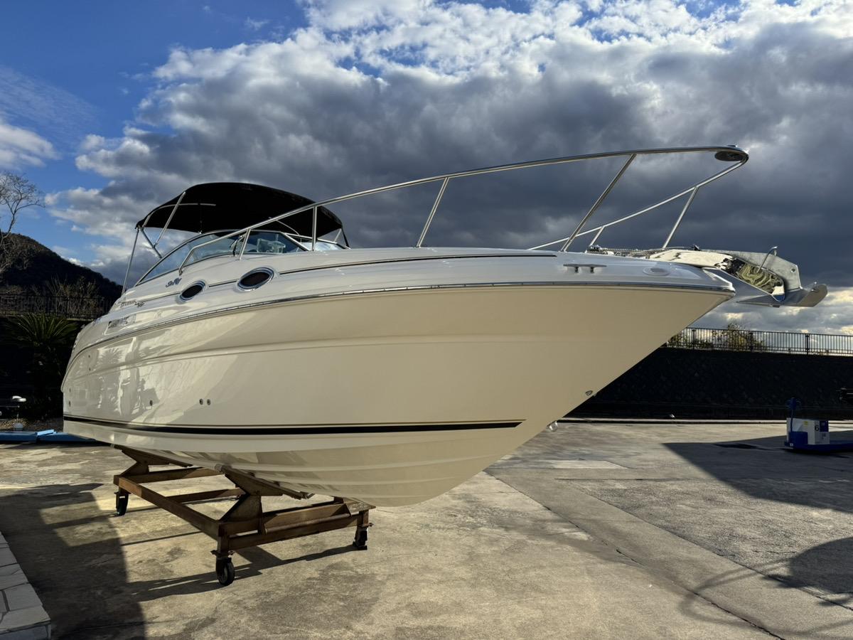 SeaRay 260 SunDancer