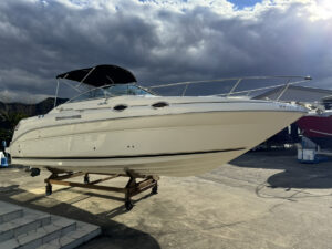 SeaRay 260 SunDancer (シーレイ 260 サンダンサー)  長龍マリーナ