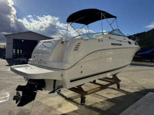 SeaRay 260 SunDancer (シーレイ 260 サンダンサー)  長龍マリーナ