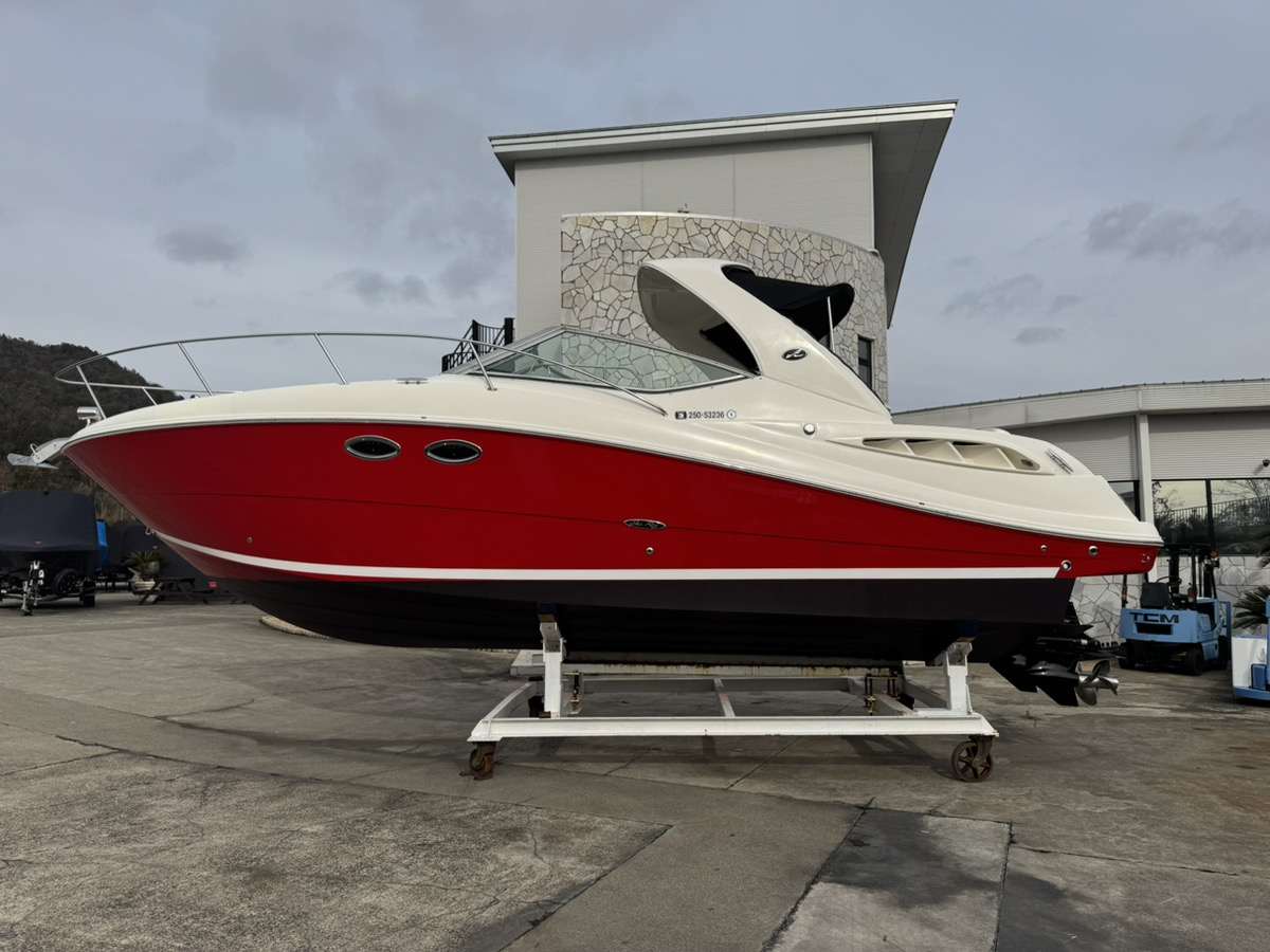 SeaRay290