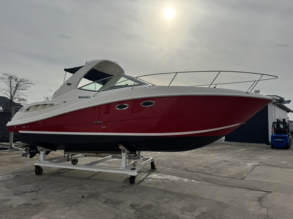 SeaRay290