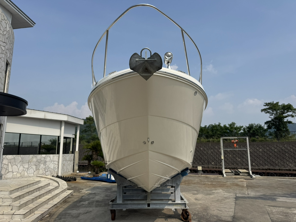 SeaRay290DA（2007）