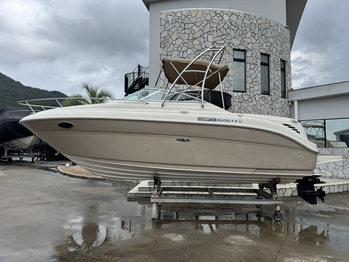 SeaRay245WE
