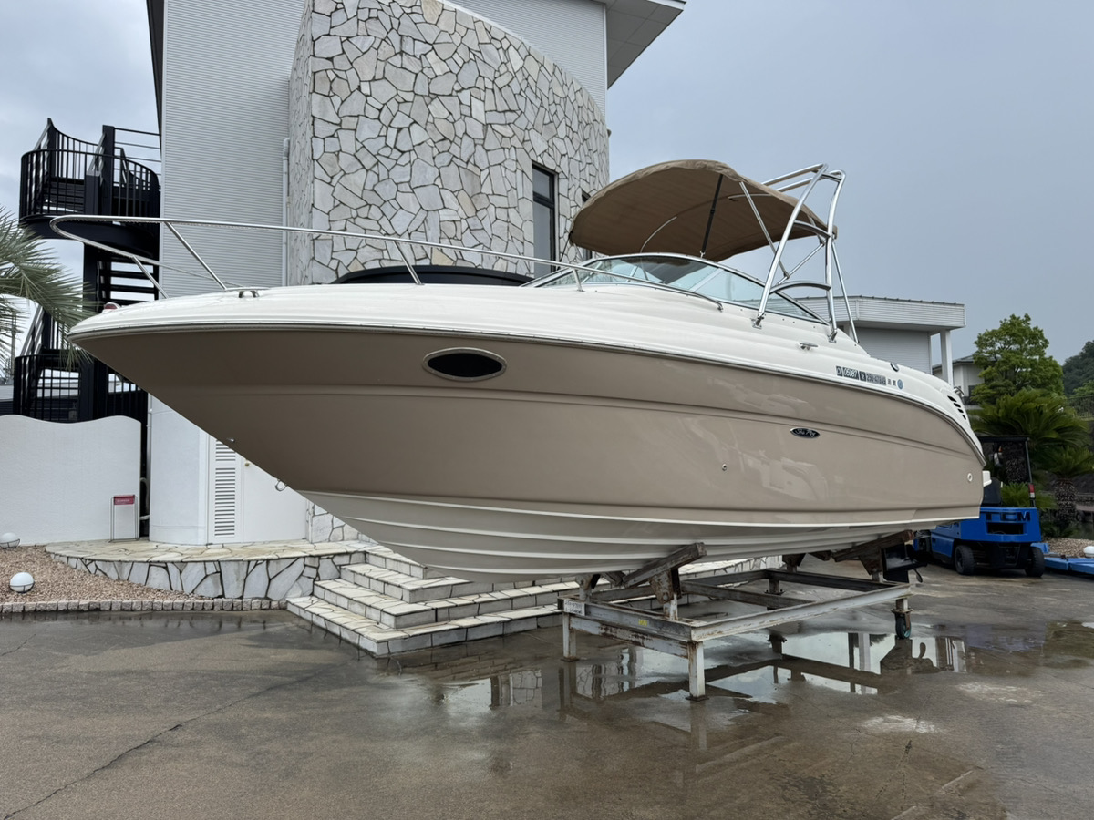 SeaRay245WE