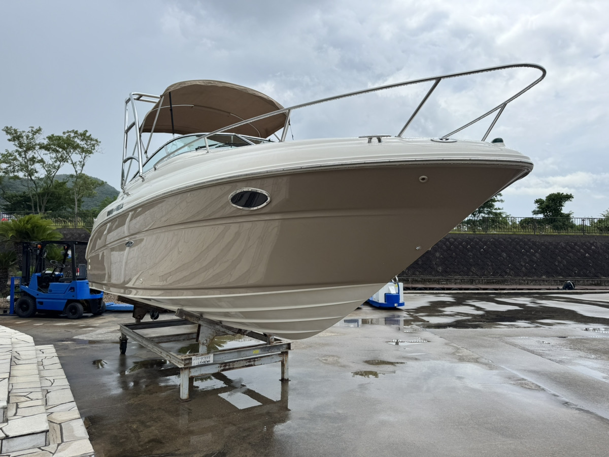 SeaRay245WE