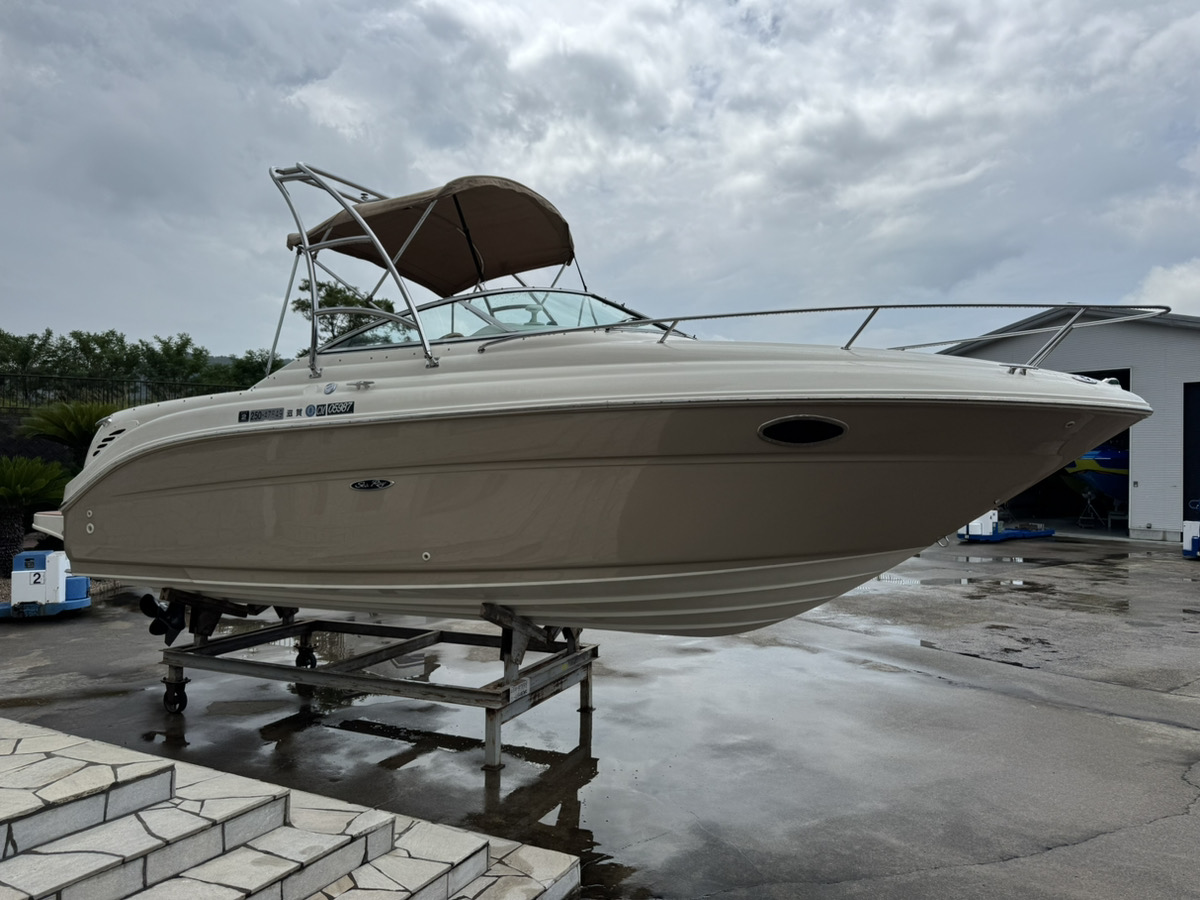 SeaRay245WE