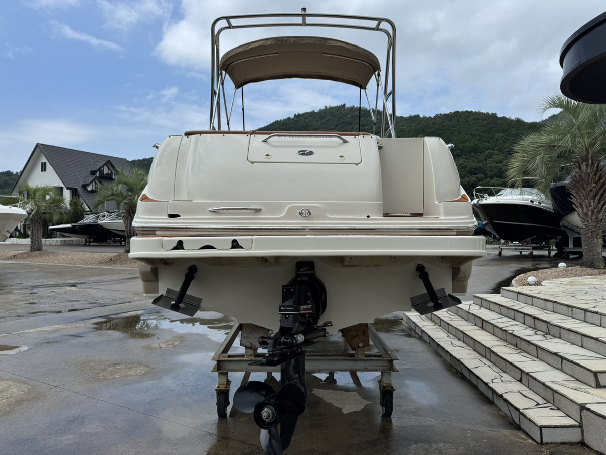 SeaRay245WE