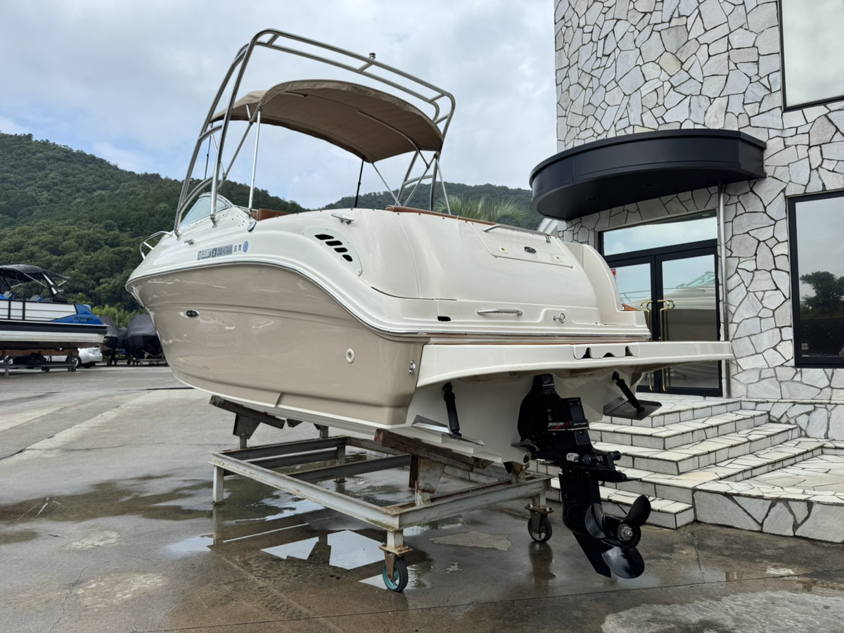 SeaRay245WE