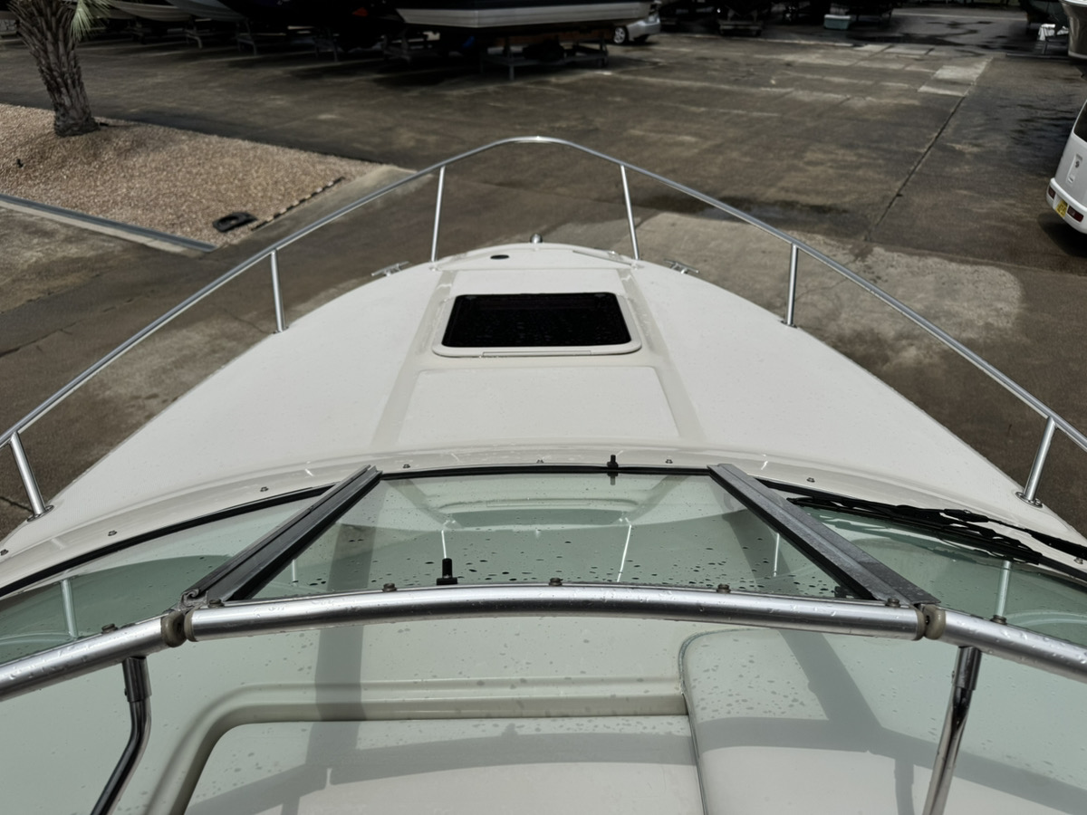 SeaRay245WE