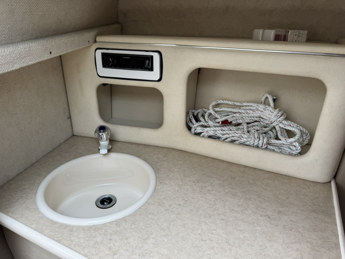 SeaRay245WE
