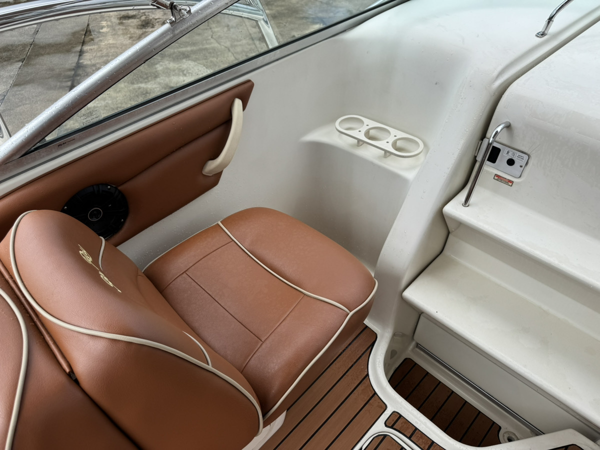 SeaRay245WE