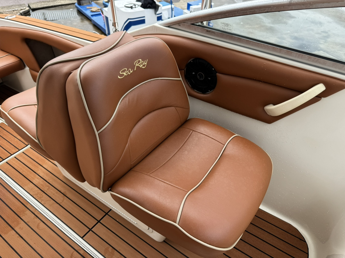 SeaRay245WE