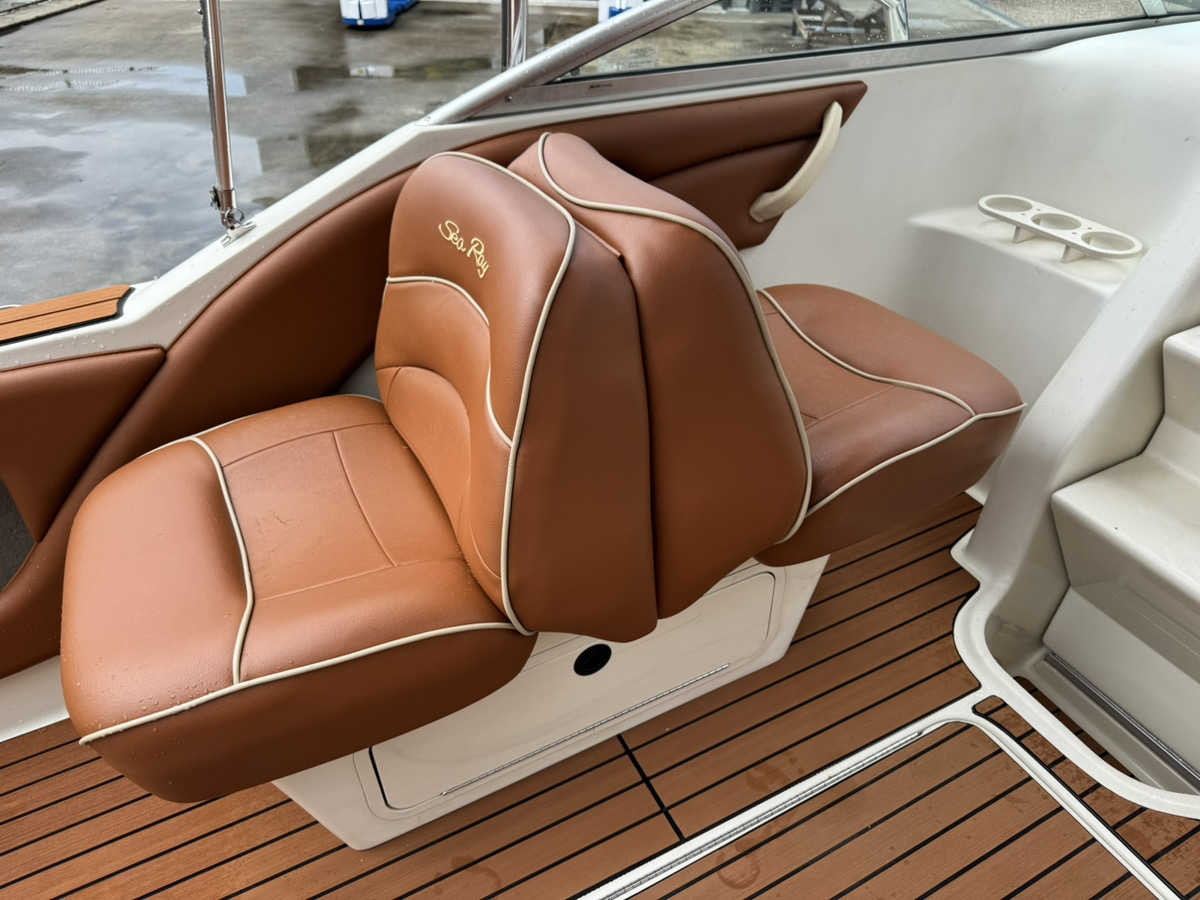 SeaRay245WE