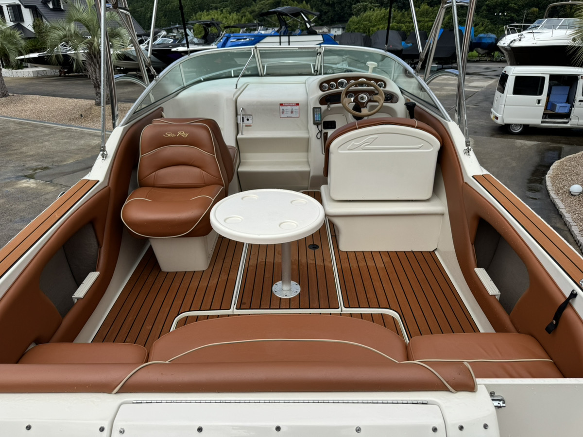 SeaRay245WE