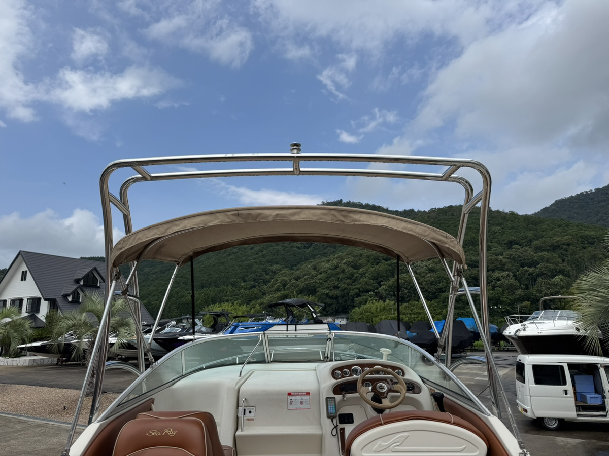 SeaRay245WE