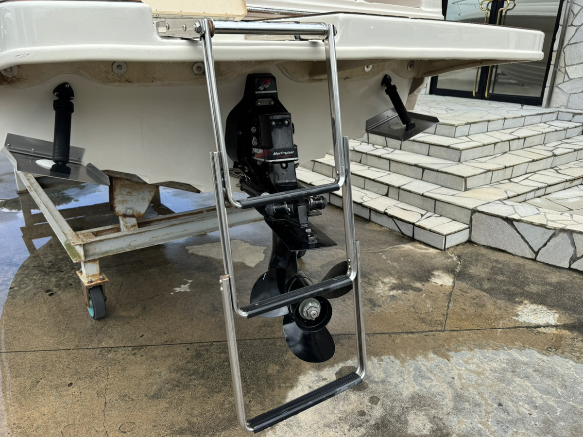 SeaRay245WE