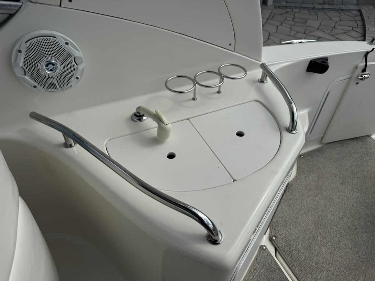 SeaRay315DA