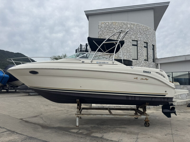 SeaRay245WE