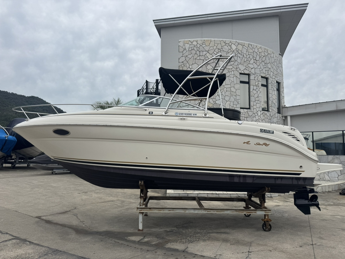 SeaRay245WE