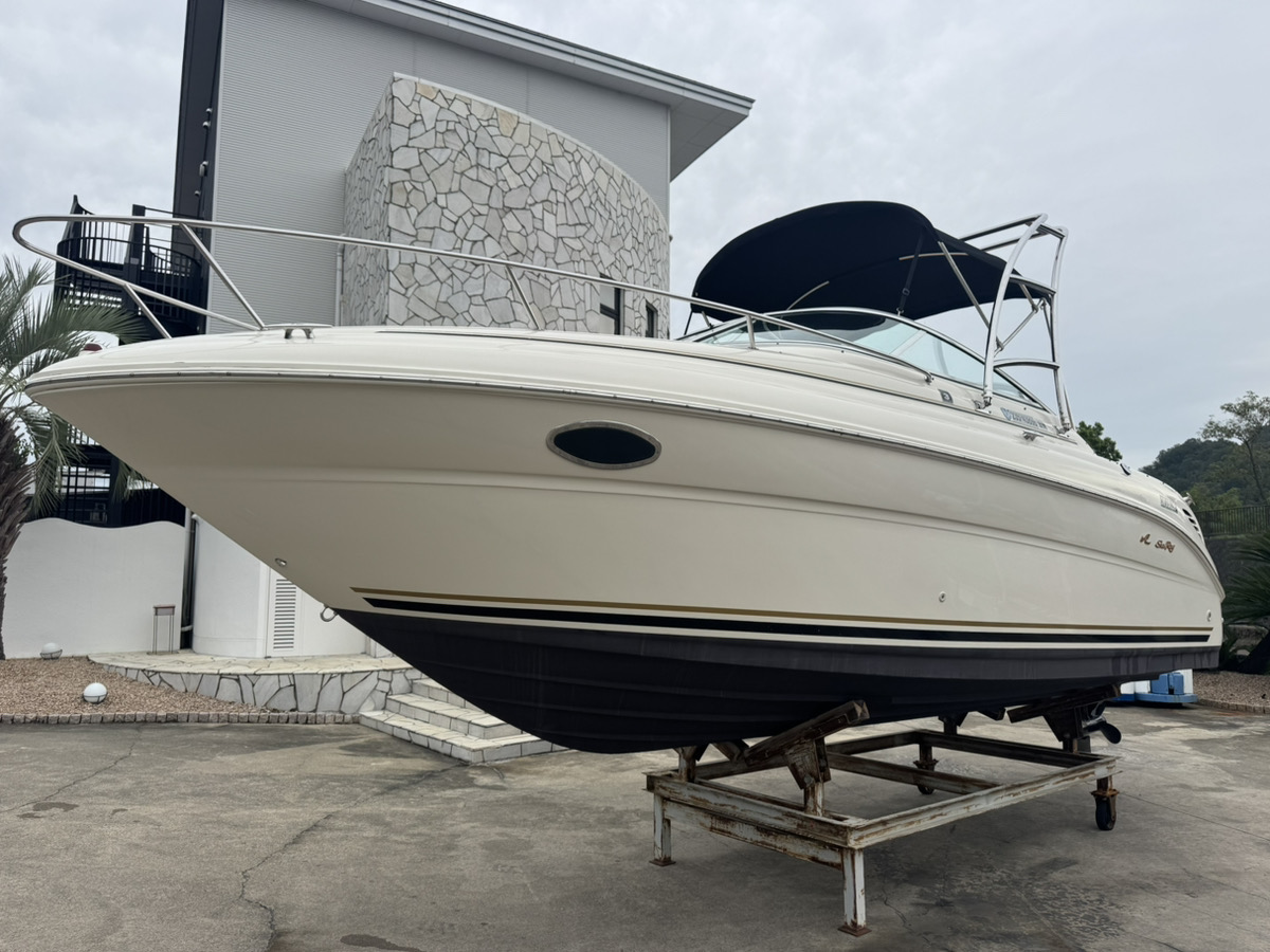 SeaRay245WE