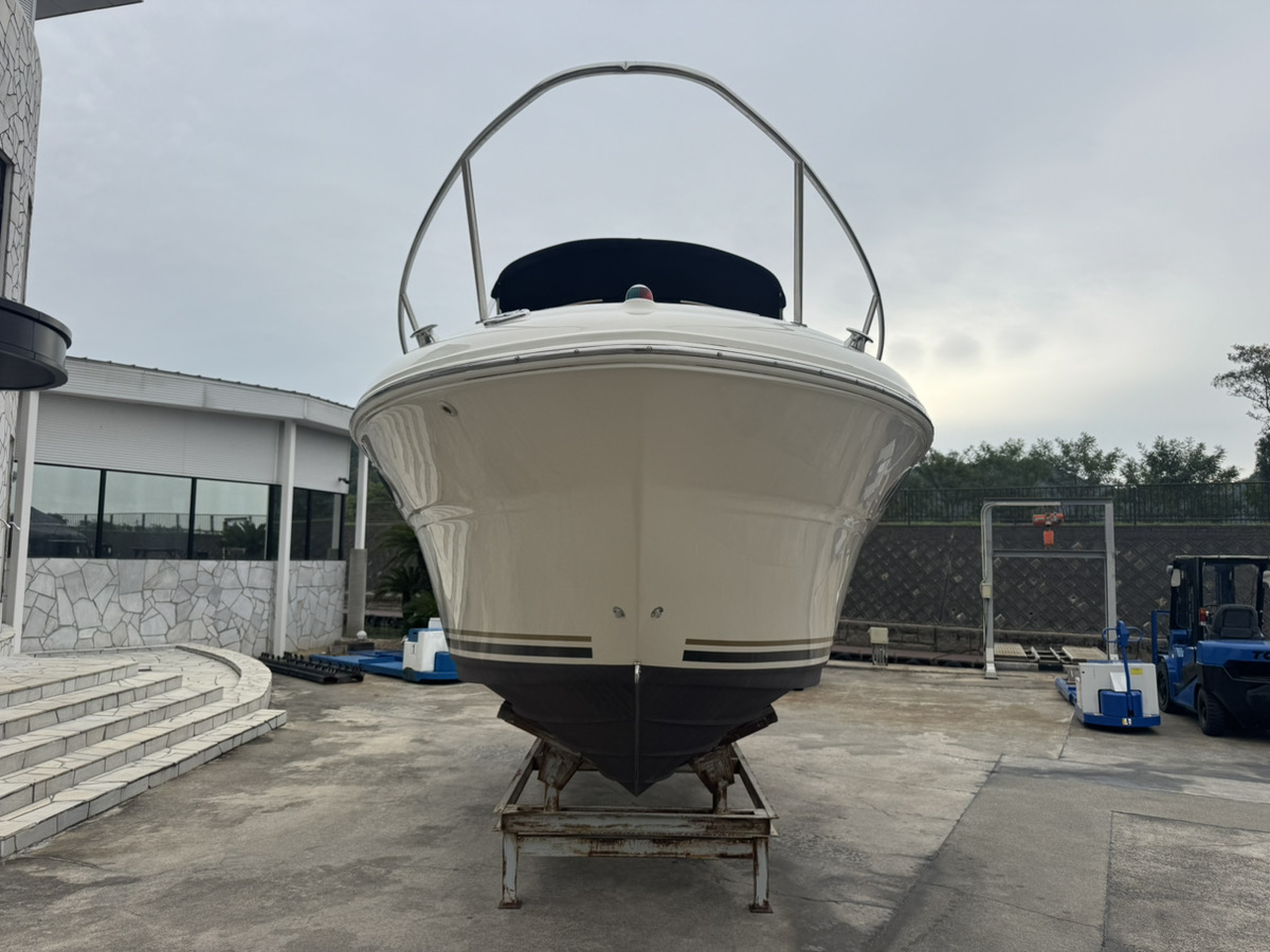 SeaRay245WE