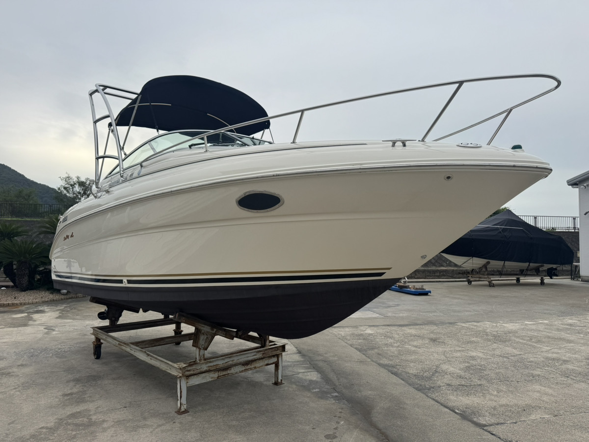 SeaRay245WE