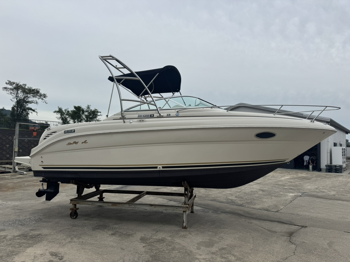 SeaRay245WE