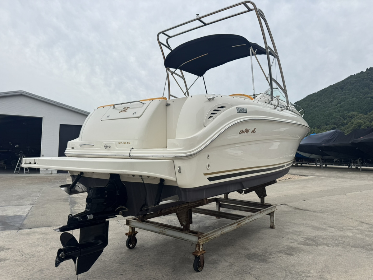 SeaRay245WE