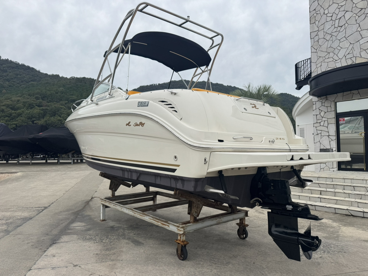 SeaRay245WE