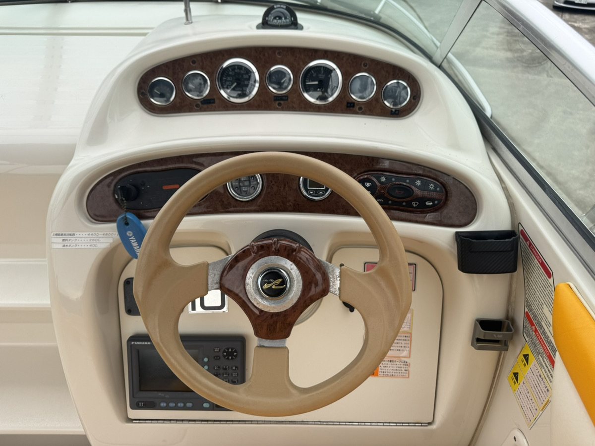 SeaRay245WE
