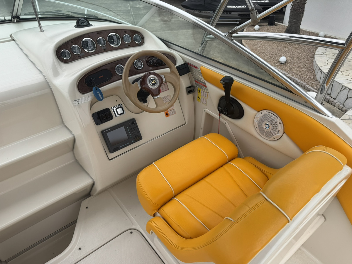 SeaRay245WE